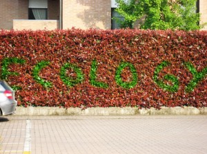 Dario Tironi, “Ecology”, 2012, spray on hedge, (print on alluminium)
