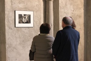 IMG_4807
