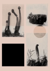Salvatore Arancio, They're Here, They're Under Us, pittura su stampa archival inkjet su carta, 29x20 cm