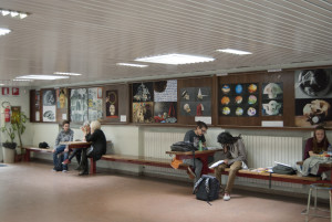 PLAY ARTDATE 2015 - BEAUTYSKULL!  @ Liceo Artistico Photo: Valentina Gamba