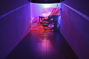 PLAY ARTDATE 2015 - O N  Z O L E R Diego Gualandris Photo: Maria Zanchi