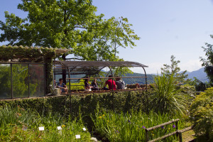 SABATO 16 MAGGIO |  @ Orto Botanico Photo: Maria Zanchi
