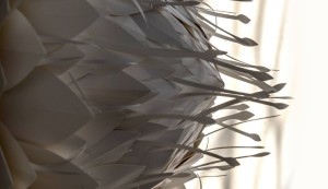 12043648_10206321853397368_1463529119_o